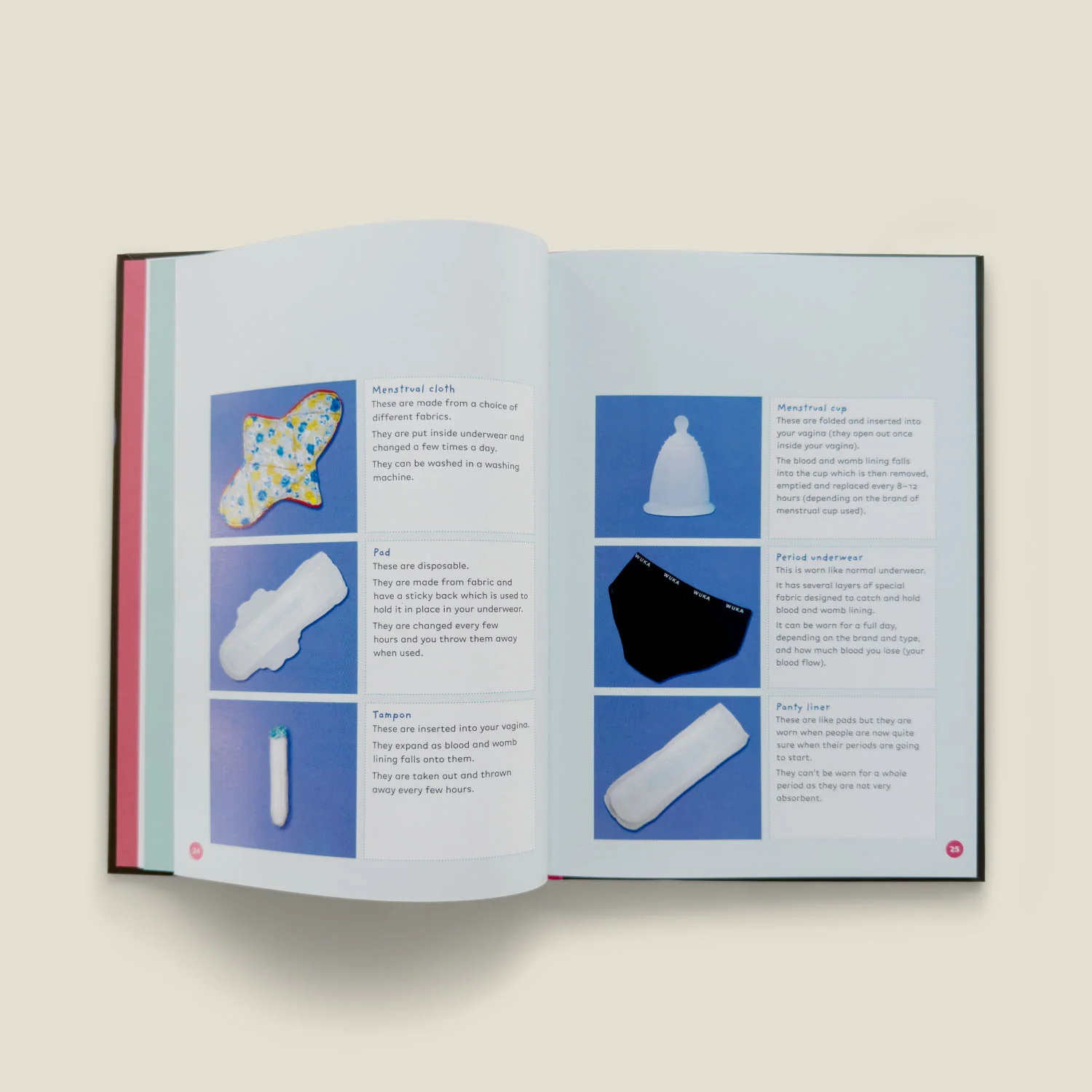 The Autism-Friendly Guide to Periods by Robyn Steward - Image 5